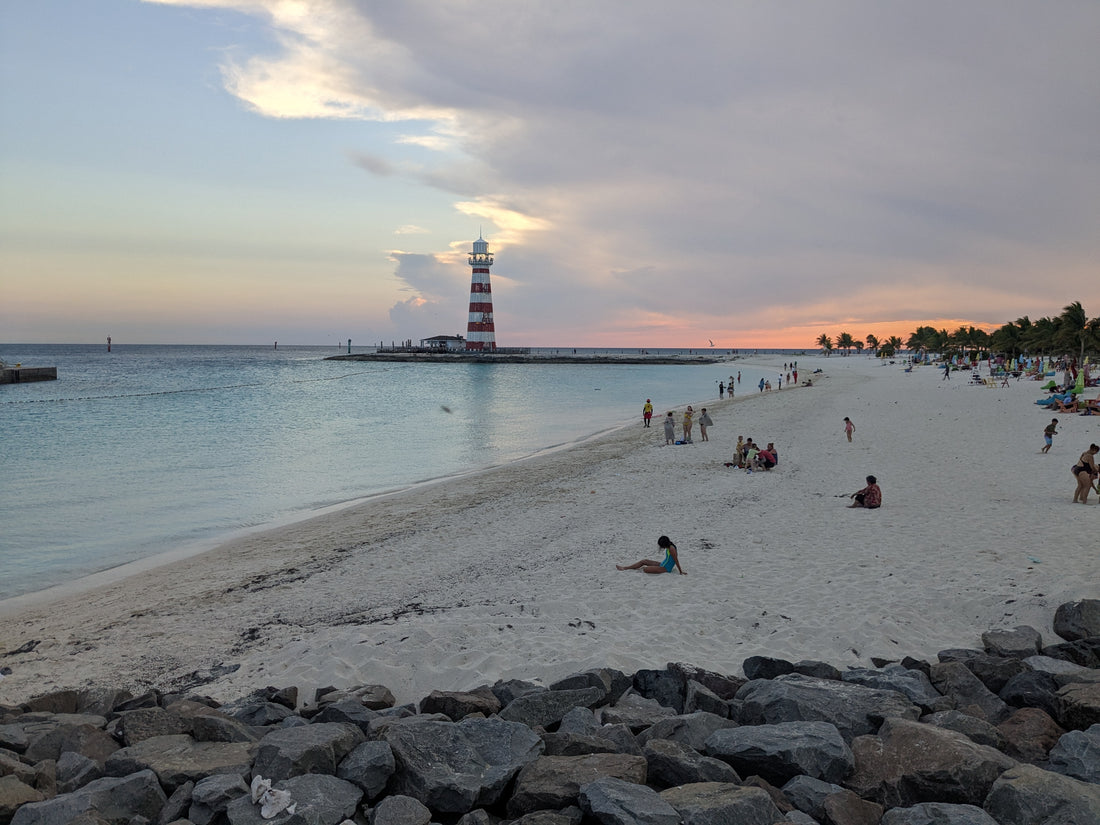 Discovering MSC’s Ocean Cay Marine Reserve: The Ultimate Guide to Beaches, Dining, Shopping, and Nightlife