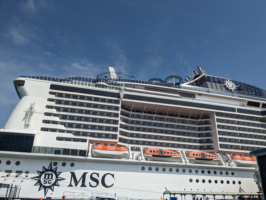 MSC Meraviglia Tips and Tricks!